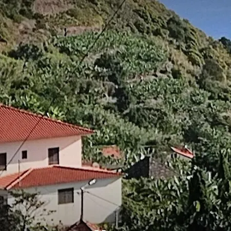 Casa Magic Vieira New Well Located With Services Lejlighed Arco da Calheta (Madeira)
